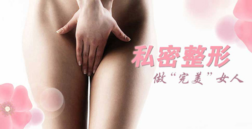 外阴整形